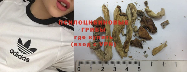 молекула духа Алзамай