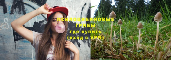 молекула духа Алзамай